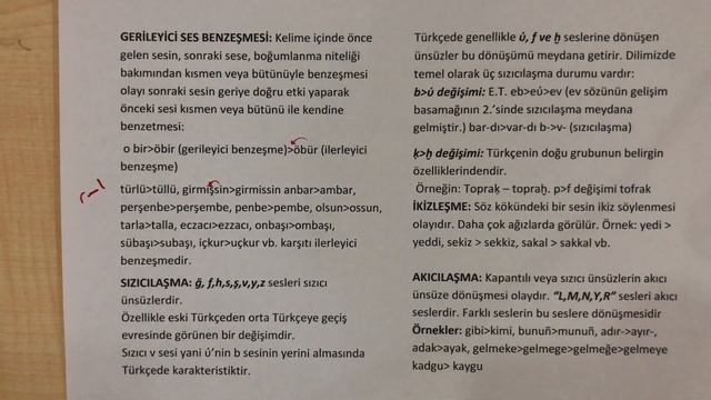SES OLAYLARI смотреть онлайн