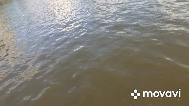 Поймал Два Пистолета в Москве реке на Поисковый Магнит смотреть онлайн