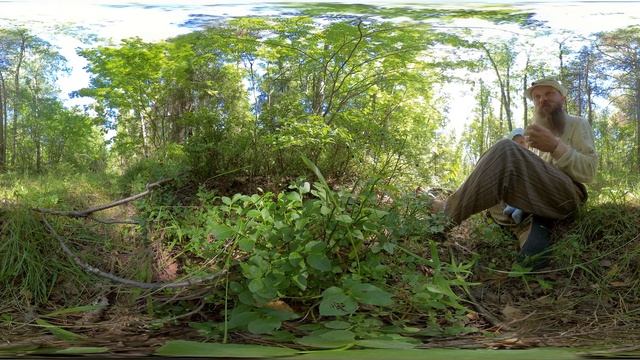 360VR. Ребёнок в 11 месяцев ест чернику с куста! смотреть онлайн