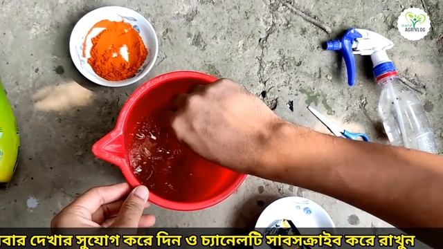 মরিচ বা লঙ্কার পাতা কোকরানো দূর হবে - মাত্র একটি ম্যাজিক দ্রবন ব্যবহারে смотреть онлайн