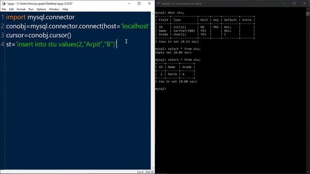 CONNECTIVITY OF DB WITH PYTHON:CS CLASS 12TH TOPIC BY SHOURYA GUPTA(XII) COMMERCE. смотреть онлайн