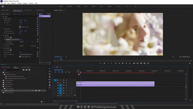 How to Create DREAMY EFFECT in Video (1-Minute Adobe Premiere Pro Tutorial) смотреть онлайн