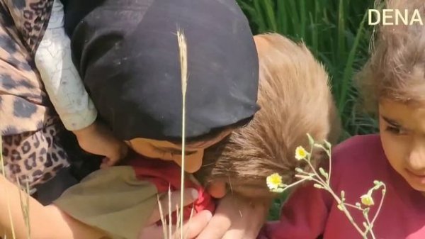 ? Apple Harvesting Adventures: Tending Orchards with DENA Nomads | Nomadic Life ?