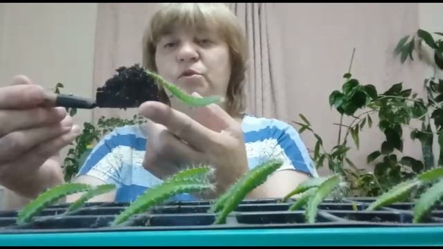 Украшения своими руками