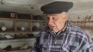 Макеевка. Голуби  Донбасса . В гостях у д.Жоры.