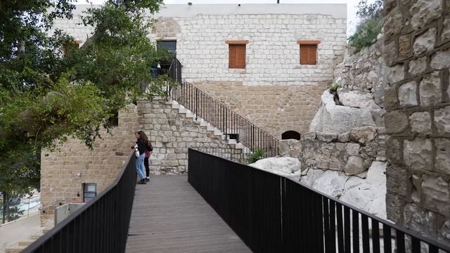 Хайфа. Обзор