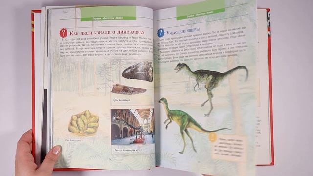 Детская энциклопедия Что? Зачем? Почему? для школьников познавательная книга развитие ребенка