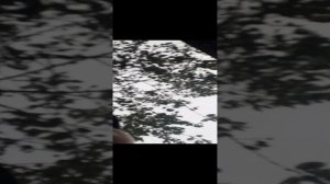 обзор на нашу улицу