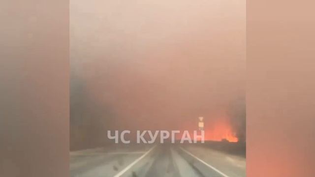 лесной пожар на трассе Екатеренбург-курган смотреть онлайн