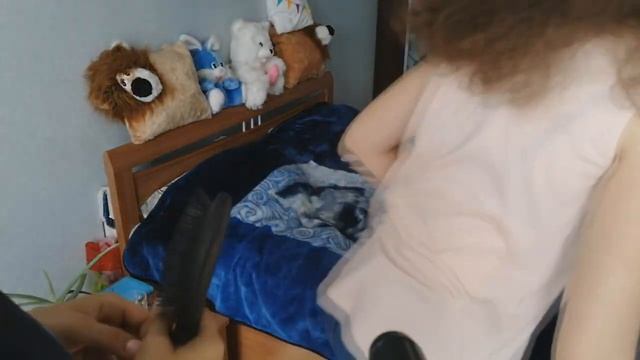 Причёска на 1 сентября!?.             Karina Fawn ?