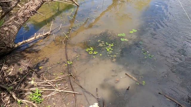 Рыбалка. Приморский край смотреть онлайн