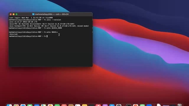 JAVA 11 Mac kurulumu ve JAVA_HOME смотреть онлайн
