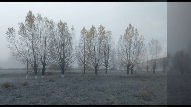 Осень в Хакасии. Деревня Верхний Курлугаш. 11 октября 2020г. смотреть онлайн