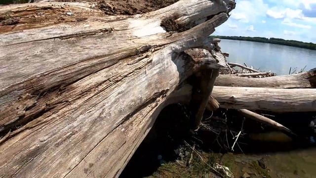 Коп на красивых берегах,где отдыхали любители природы. смотреть онлайн