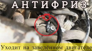 Куда уходит АНТИФРИЗ на заведенном двигателе.