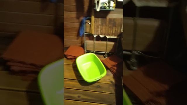 Бивер йорк Рокки и банька #funny #puppy