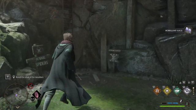 HOGWARTS LEGACY | Deluxe Edition Walkthrough PC | Part 25 - The Phoenix and the Unicorn смотреть онлайн