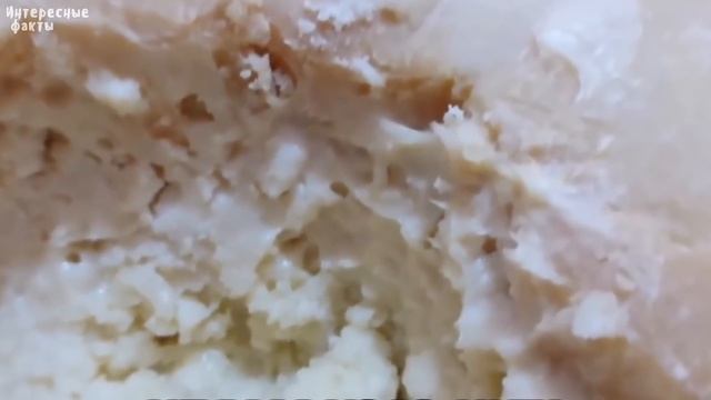 13 категорически запрещенных продуктов питания в США, но разрешенных во всем мире смотреть онлайн