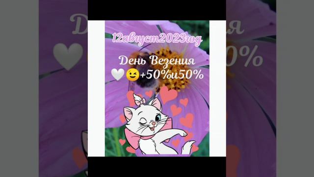 Энергий дня на 12 Августа 2023 год. смотреть онлайн