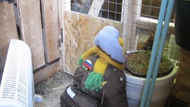Федор на прогулке зимой, идет проверять кур и коз ( яванская макака) смотреть онлайн