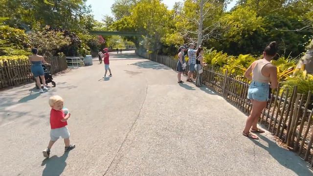 С Мэтью в зоопарке Майами смотреть онлайн