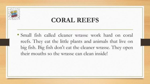 English Listening Practice for Beginners - Listening Practice with Stories - Listening Exercises