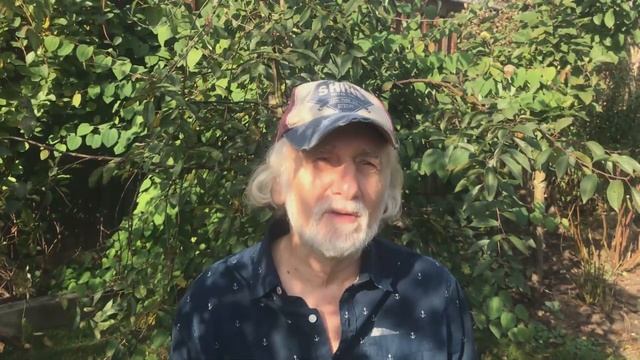 Внутренний диалог в медитации смотреть онлайн