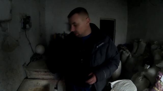 БИЗНЕС НА СВИНЬЯХ! ОТ А ДО Я, смотреть онлайн