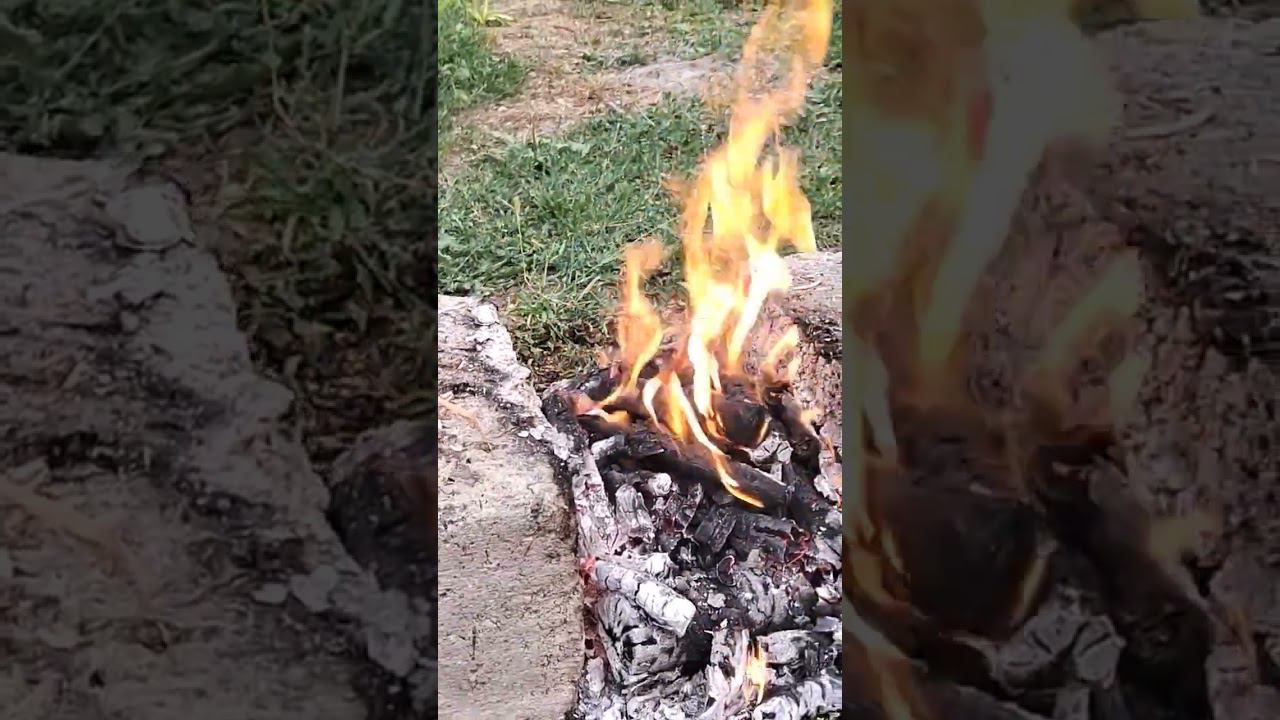 шашлычок смотреть онлайн