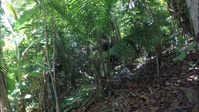 How to survive in the forest | Lost in the Forest Primitive Survival, ep 1 смотреть онлайн