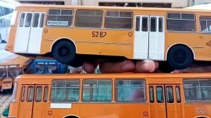 Коллекция автобусов Лиаз-677 от СОВы, SSM, Classic Bus. Сравнение моделей 1:43.