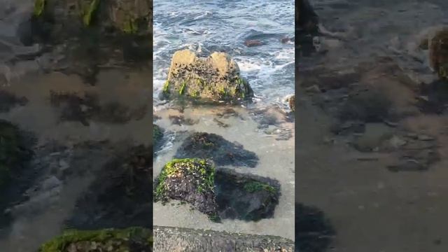 Панорама, пляж в Сокчо, Корея. Beach in Sokcho, Korea. смотреть онлайн