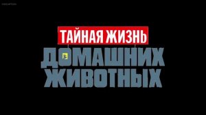 Вступительные заставки студии Illumination