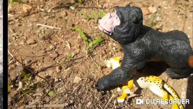 Dinofelis Vs Gorilla смотреть онлайн