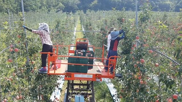 Подъемник Sungboo SB-7500 смотреть онлайн