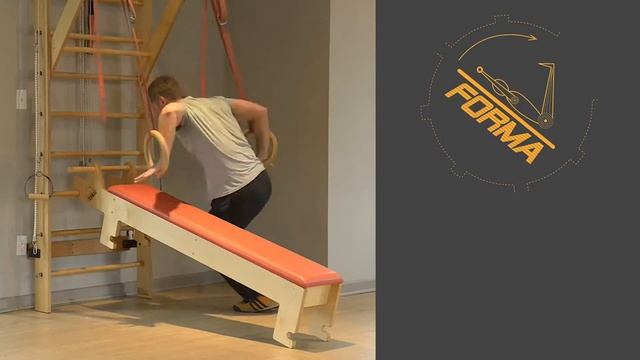 Swedish Ladder/Stall Bars + Gymnastic Rings + Pull Up Bar + Bungee Cords = FORMA Totus смотреть онлайн