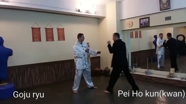 Goju Ryu & Pei Ho Quan / Harai Uke