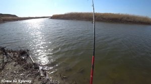 Рыбалка которая зашла, река Донская Царица.