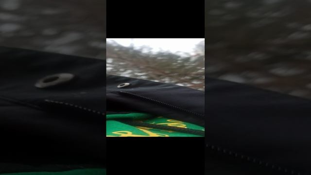 VID_20231101_140925.mp4 смотреть онлайн