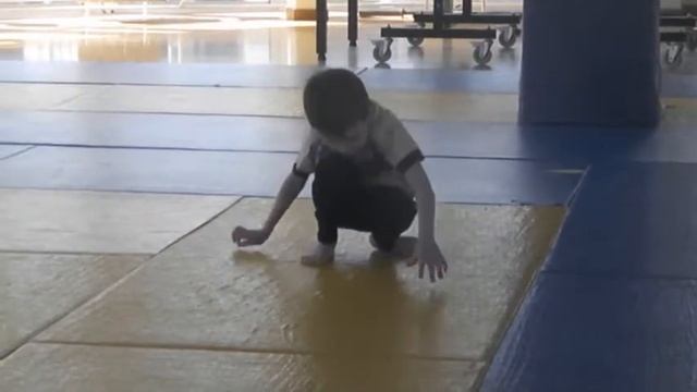 Тимур Мамишев, 6 лет. (8 месяцев Дзюдо) смотреть онлайн