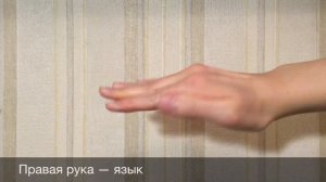 БИОЭНЕРГОПЛАСТИКА ДЛЯ МАЛЫШЕЙ | Развиваем речь через руки