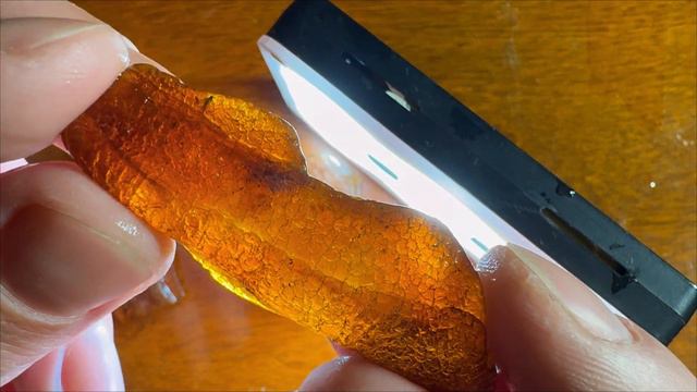 How rare are insect inclusions in baltic amber? смотреть онлайн