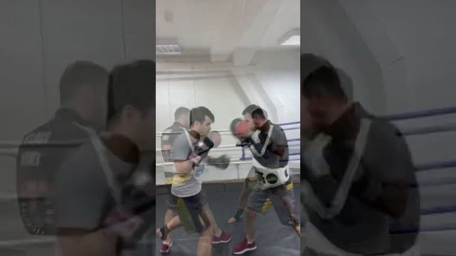 Бокс. Отработка на лапах . Тренировка по боксу . Boxing Guru Club смотреть онлайн