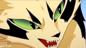 Коты Воители (Рыжик и Долгохвост)-Thunder