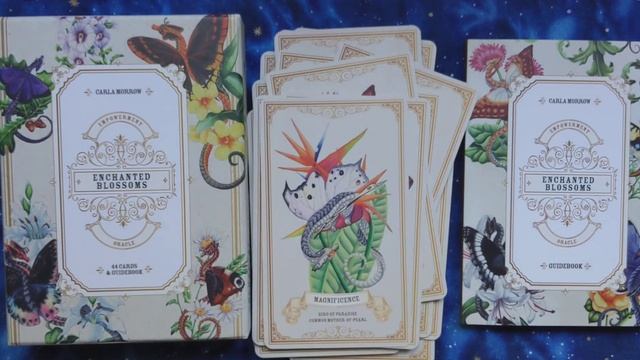 Enchanted Blossoms Empowerment Oracle - Silent Flip-through смотреть онлайн