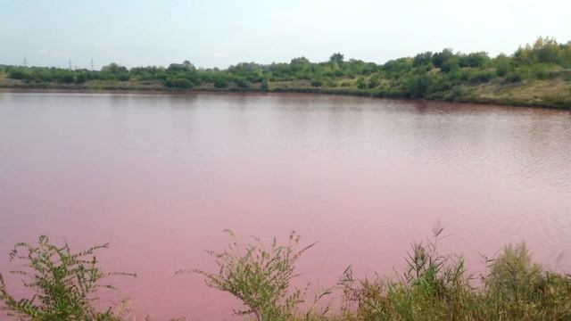 Розовые озера в Самарской области | Запретная и опасная зона смотреть онлайн