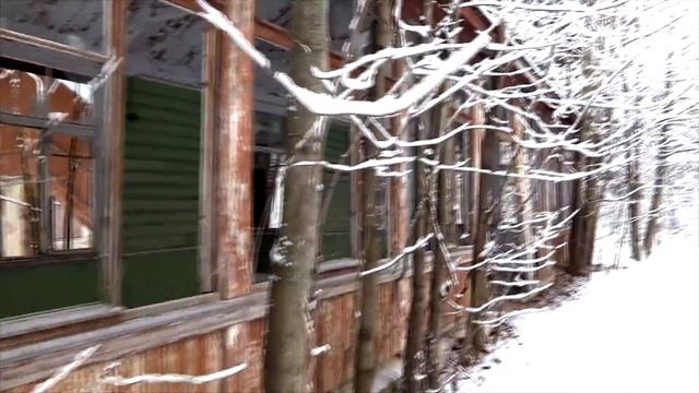 Заброшенная усадьба Демидова в Тайцах. Необычные экскурсии по Санкт-Петербургу смотреть онлайн