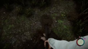 Sons of The Forest ( приколы в игре )