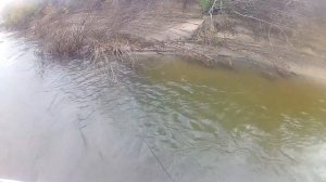 река Чулым  "Томская область"  18 .09. 2021г.