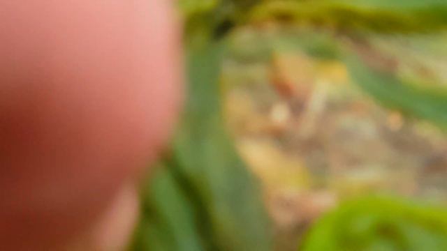 Живое 2 смотреть онлайн